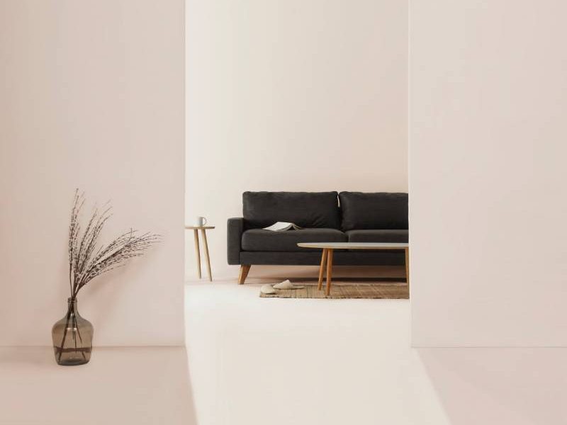 Simplicity is the most precious asset
